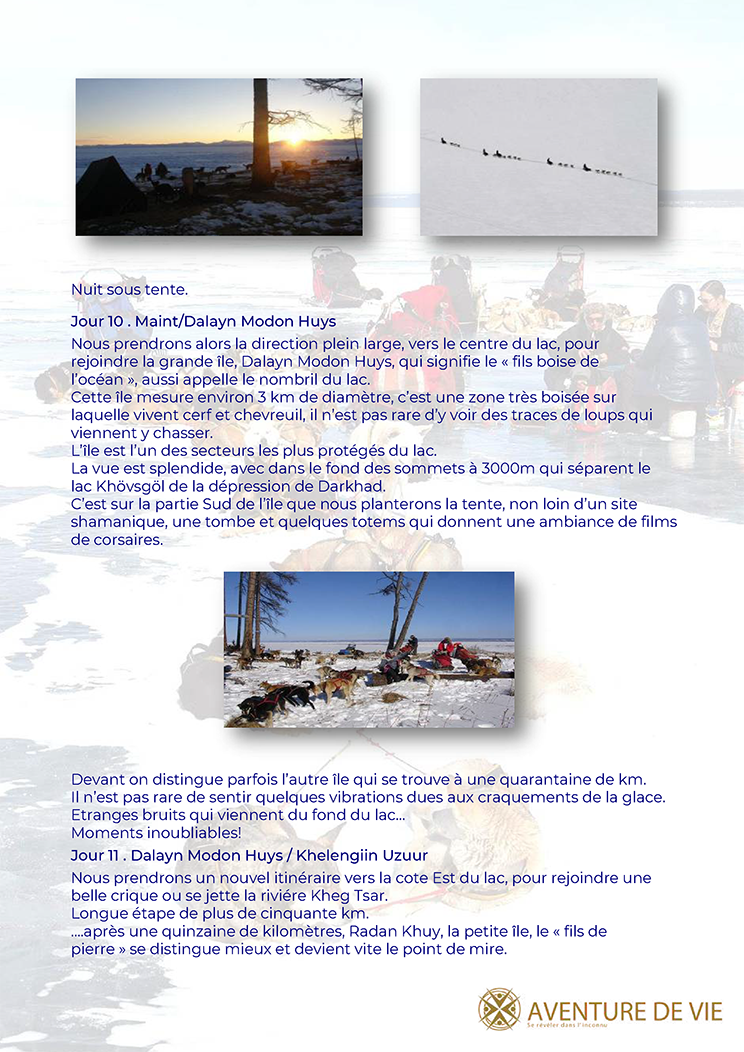 Chien de traineau KHUVSKUL 13