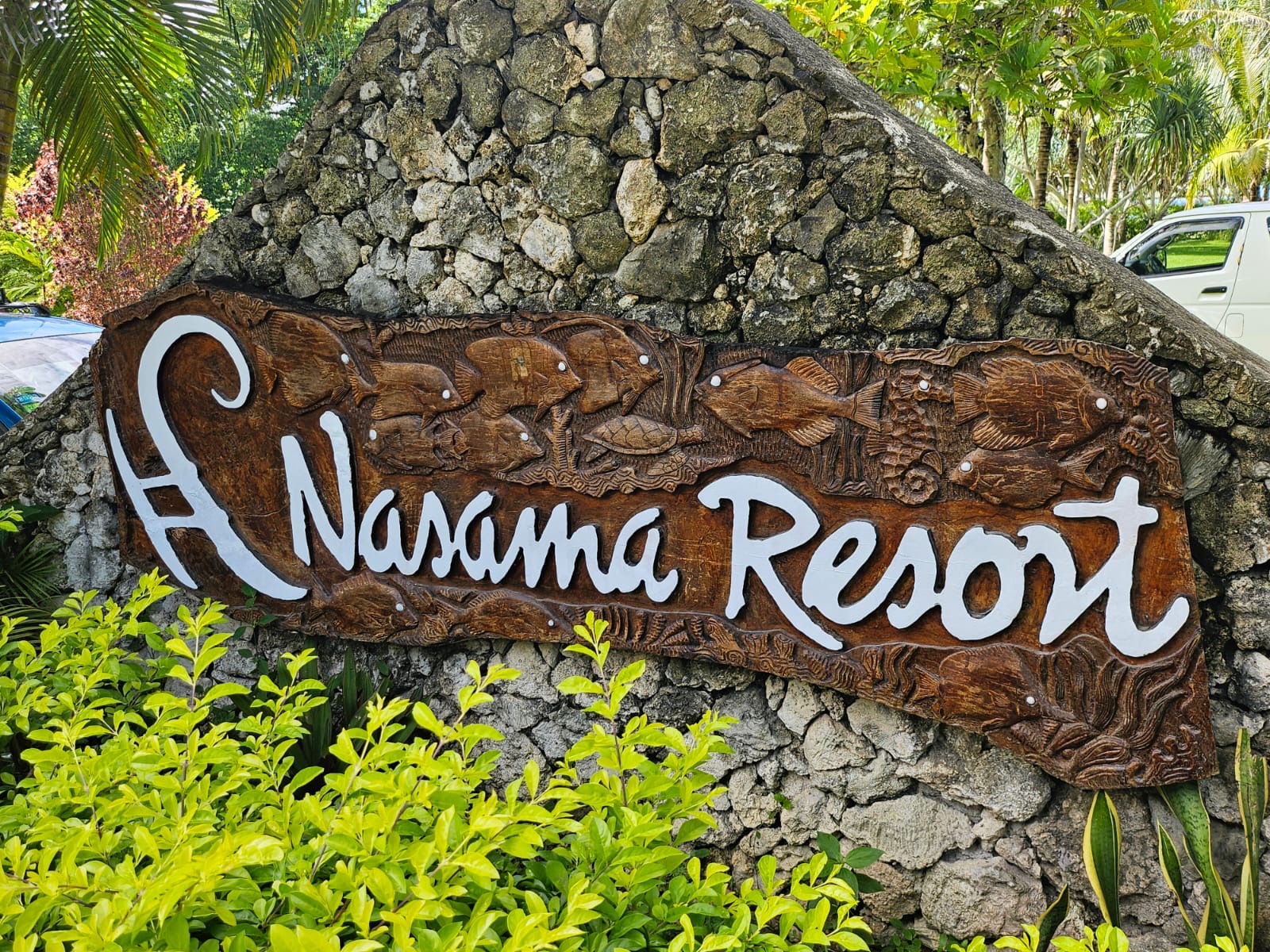 d9200cfa b79a 434e b663 c8859d8fd5bf