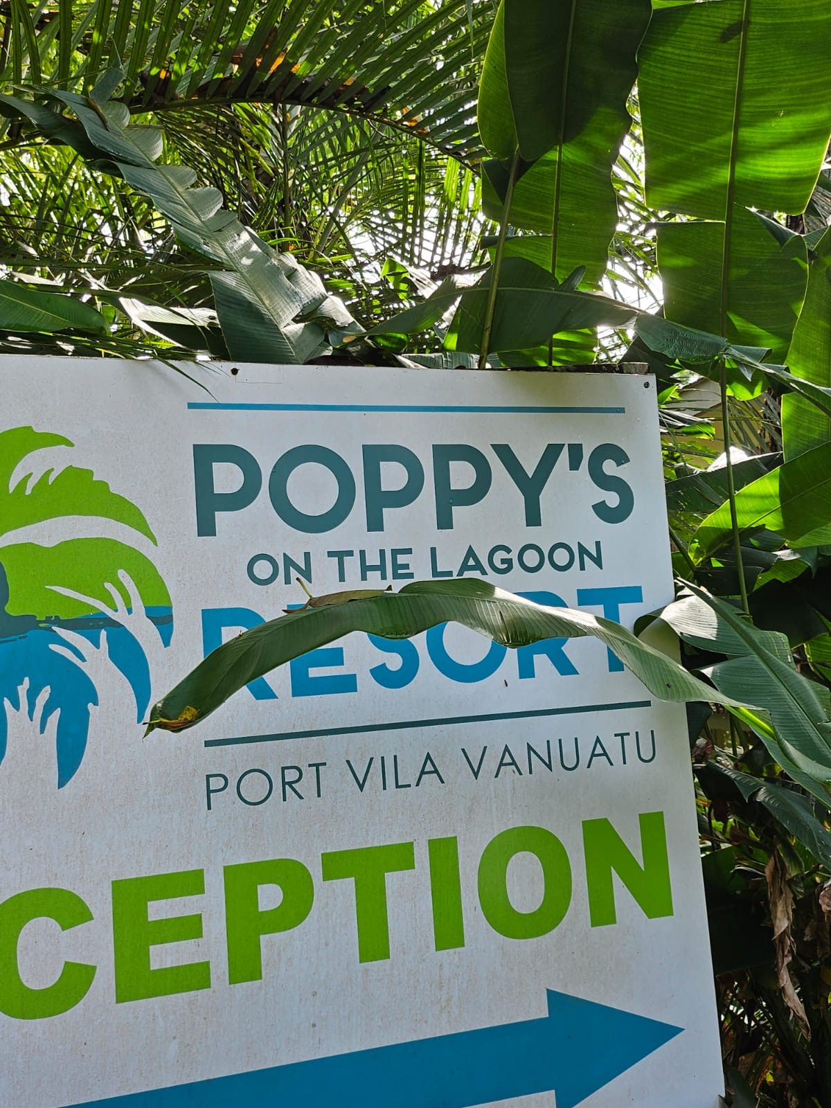 472cf486 049c 40ef b6a9 67f80d0c619f